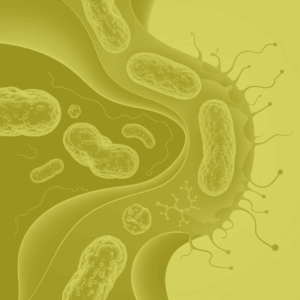 Microbioma Vaginal - 16s